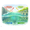 Reflection Coefficient than Vertical Walls KPI illustration
